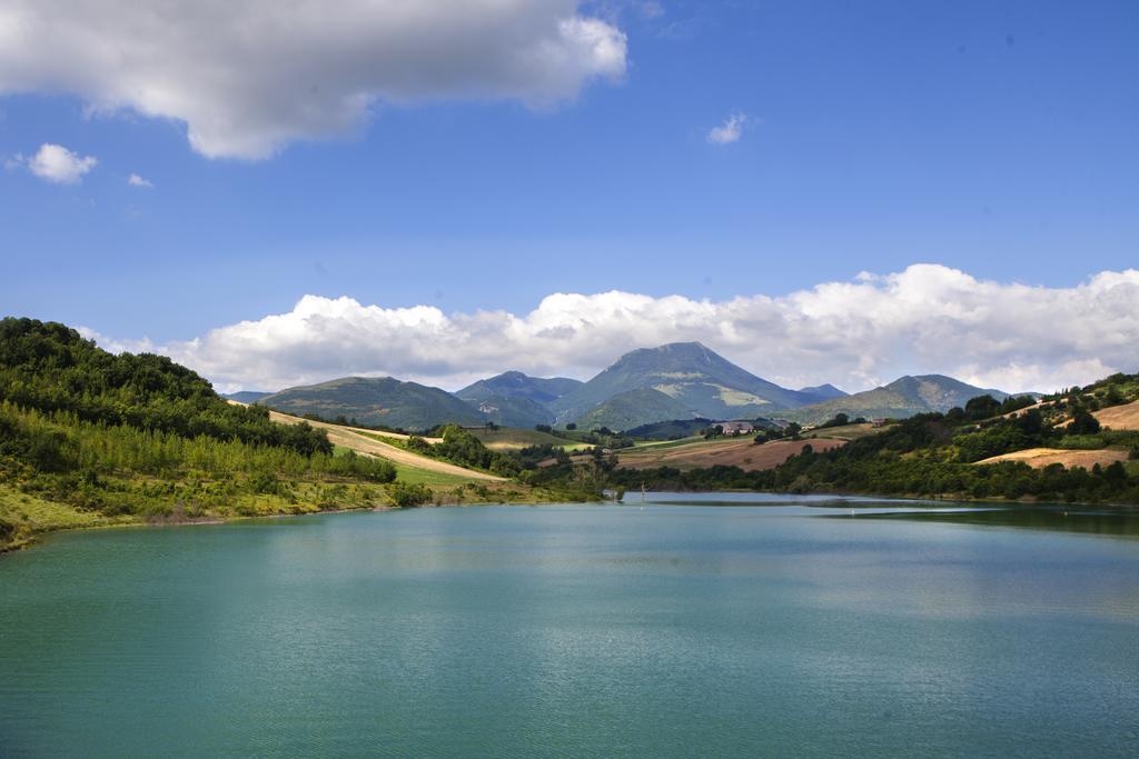 Colle Sul * Cingoli